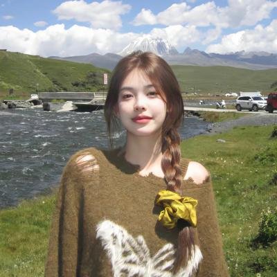 宫廷斗鸡